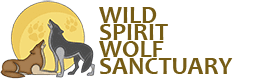 Wild Spirit Wolf Sanctuary