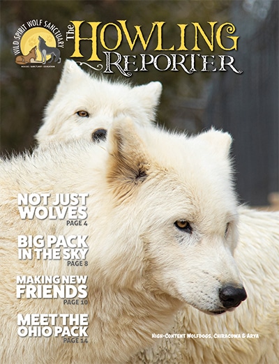 May 2021 Howling Reporter Cover