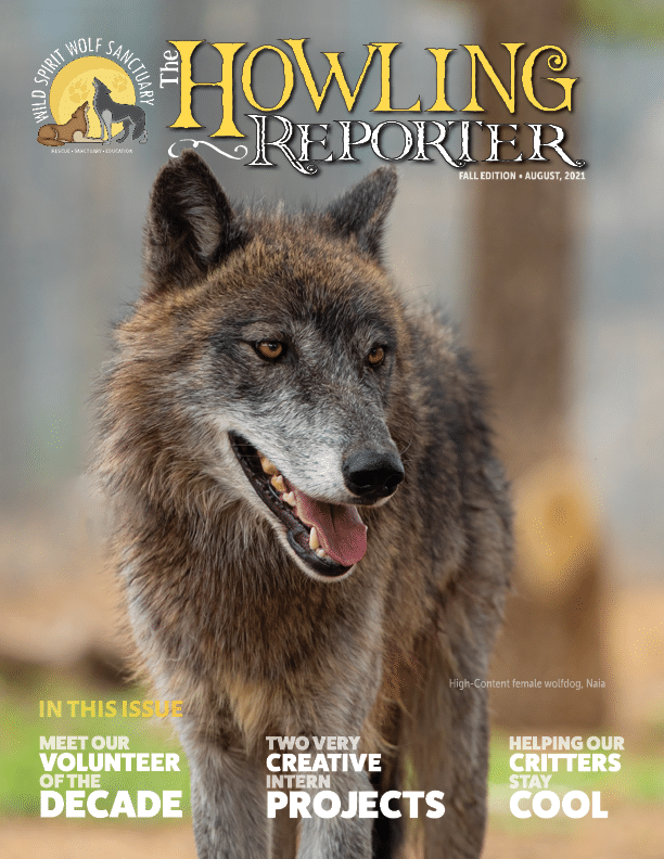 Fall 2021 Howling Reporter cover