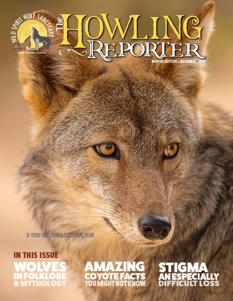 Winter 2021 Howling Reporter Cover