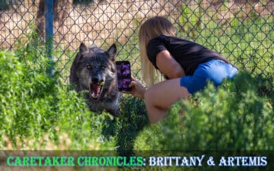 Caretaker Chronicles: Brittany & Artemis