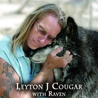 Leyton Cougar with Raven