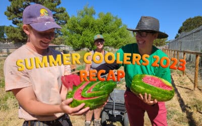 2023 Summer Coolers Recap